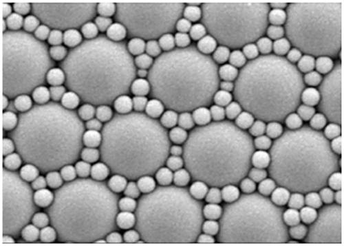 Sunflower nano array structure for enhancing SERS activity and preparation method thereof