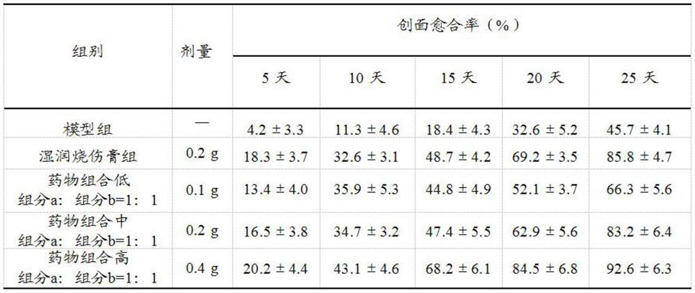 Pharmaceutical composition for treating burns and scalds, its preparation method and application