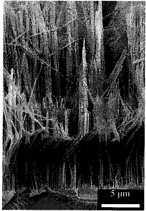 Method for preparing sequentially arranged bent silicon nano-wire array