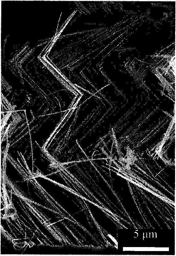 Method for preparing sequentially arranged bent silicon nano-wire array