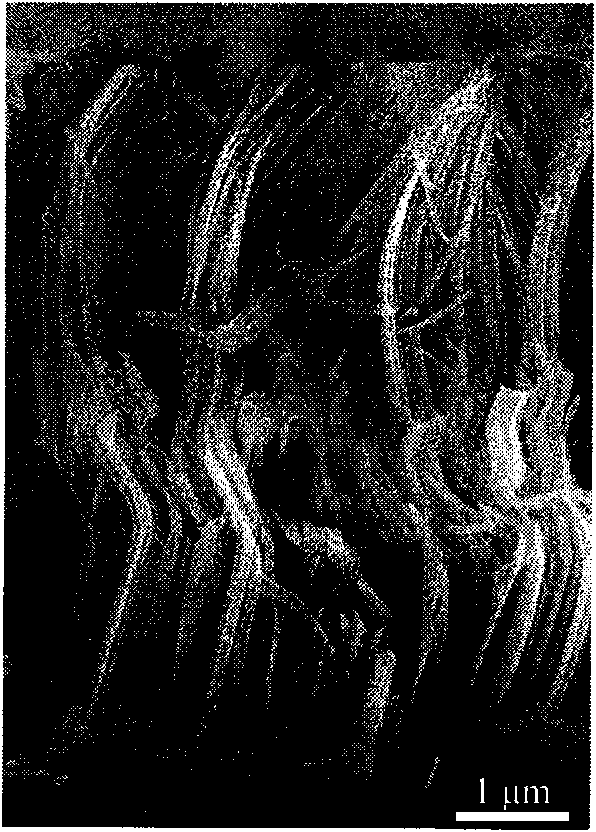 Method for preparing sequentially arranged bent silicon nano-wire array