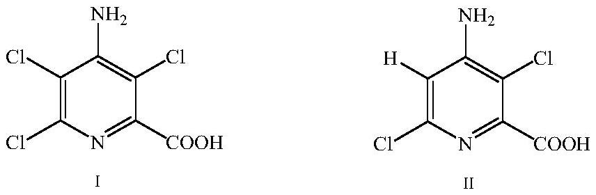 A kind of activation method of silver electrode