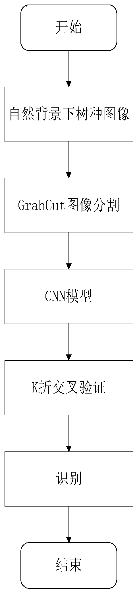 Tree species image recognition method based on natural background