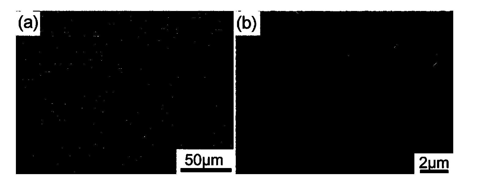 Preparation method for shape-controllable silver nanosheet assembly structure array and application of shape-controllable silver nanosheet assembly structure array