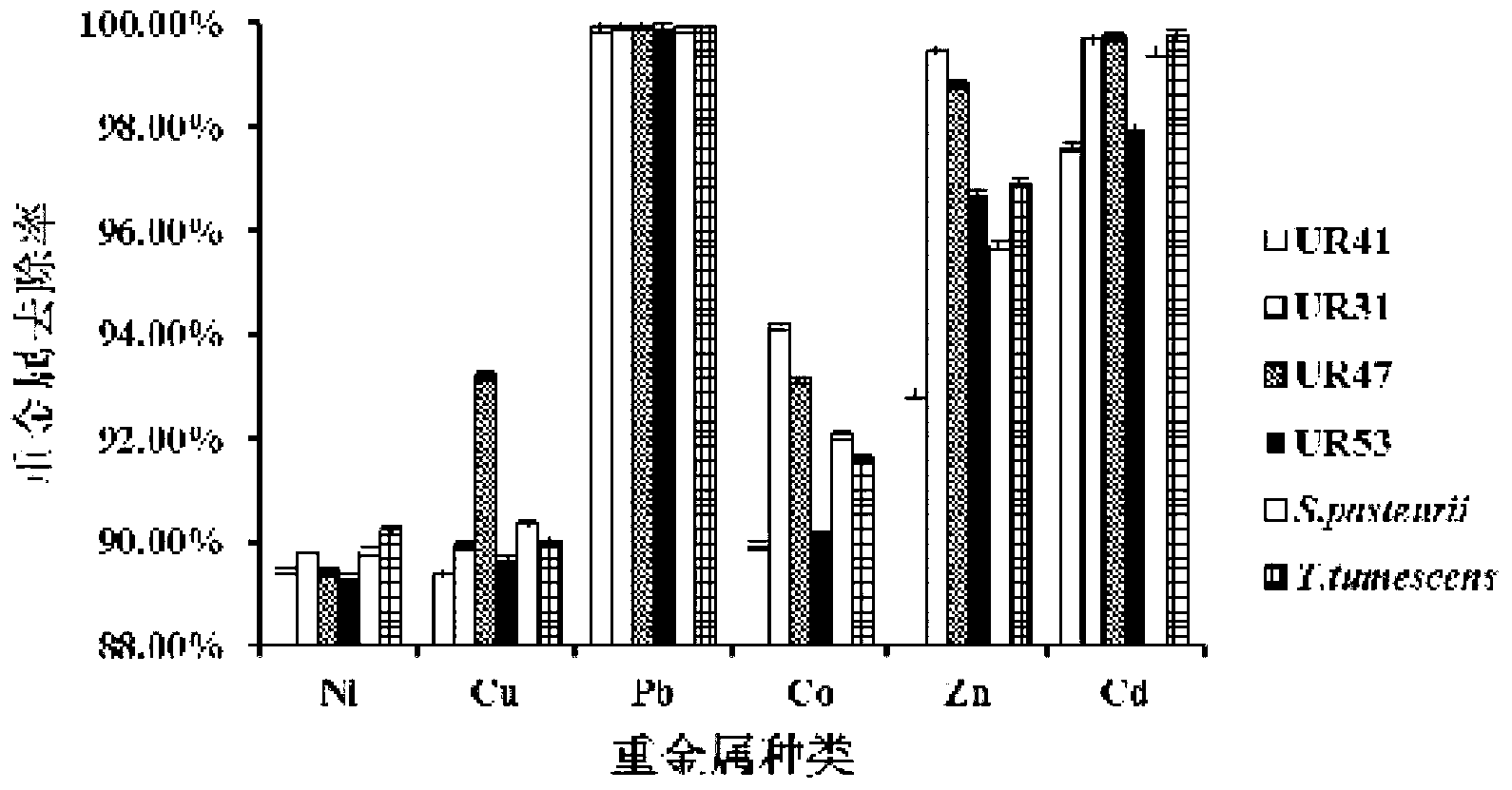 Urease-producing microorganisms and method for solidifying heavy metals in subgrade by using same