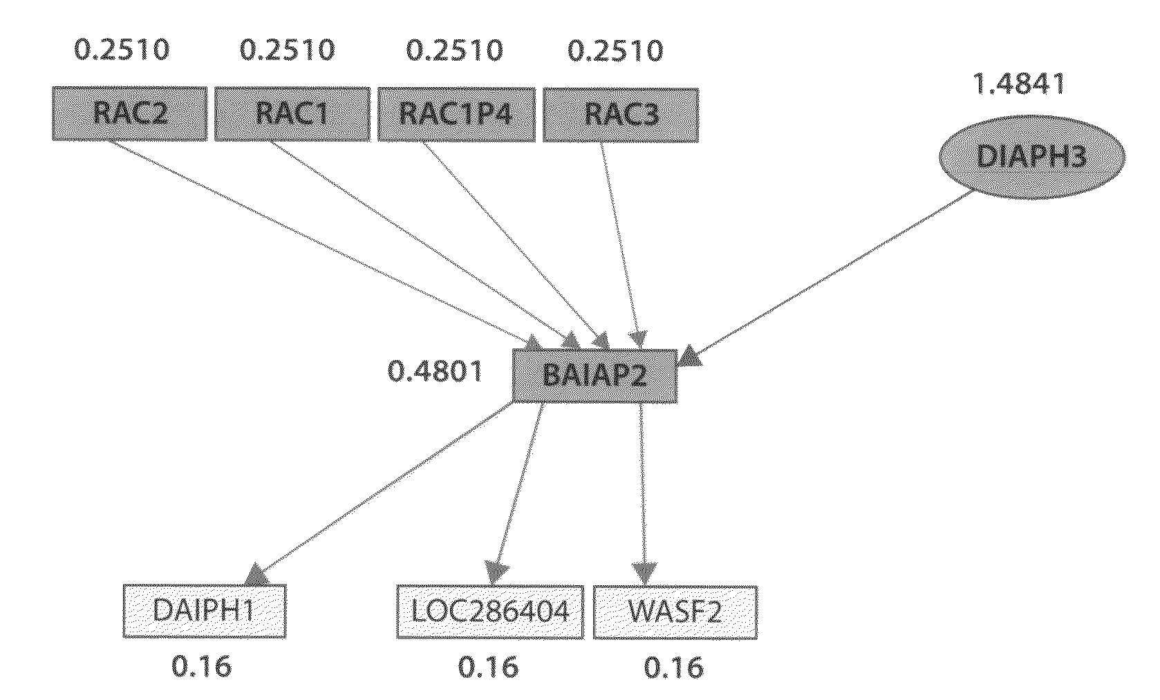 Method for analyzing biological networks