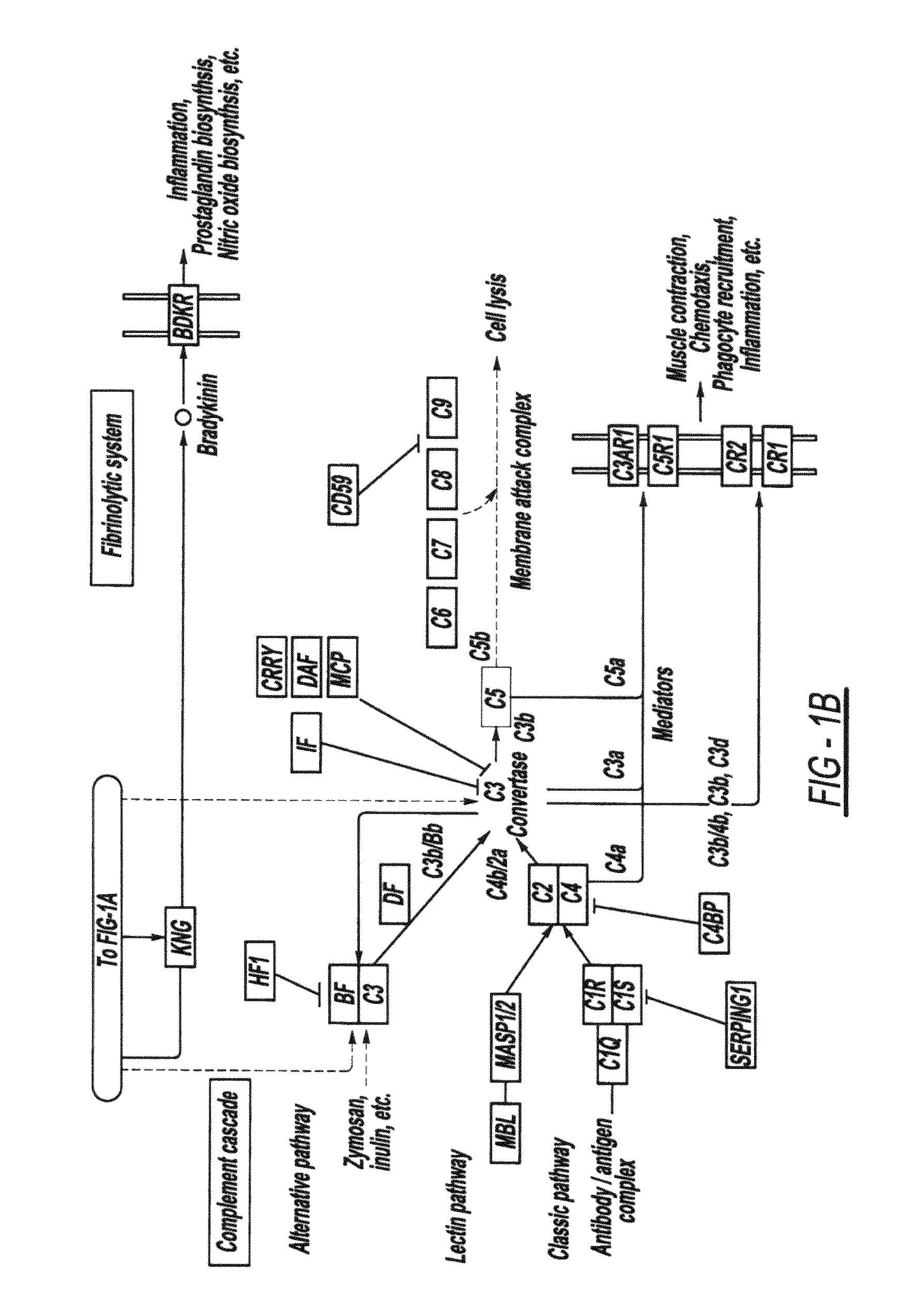 Method for analyzing biological networks