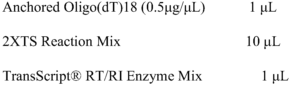 Application of RAE 1 gene or protein as biomarker for diagnosing myocardial infarction