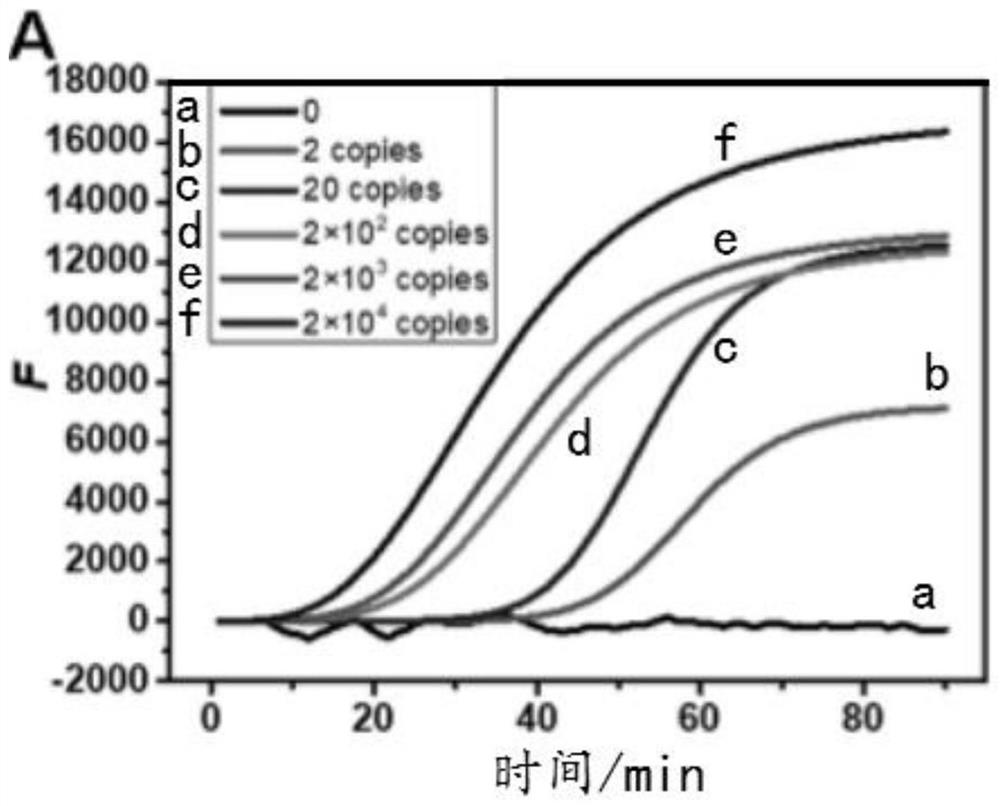 Application of pregnancy test paper to on-site instant detection of hepatitis B virus drug-resistant mutant genes