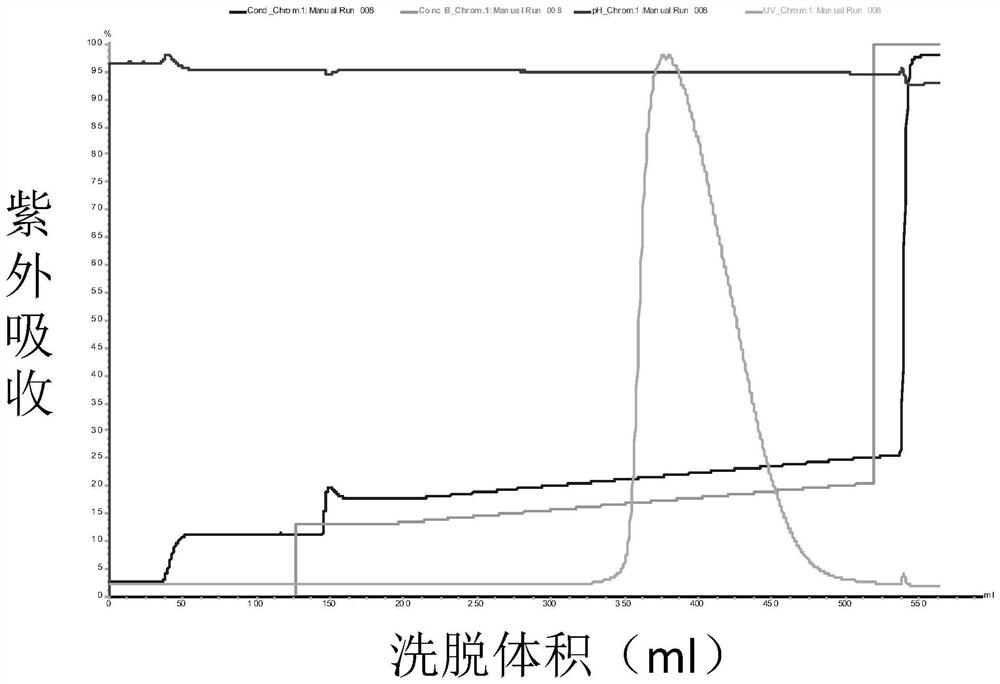 PEG modification of medicinal kininogenase and its preparation method and application