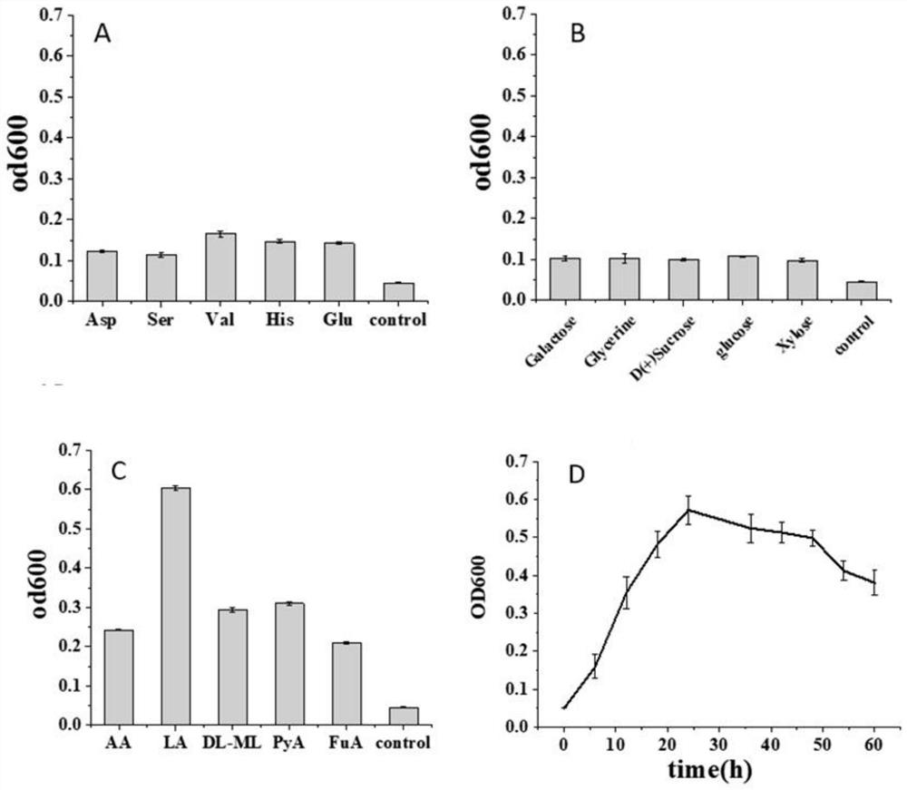 A strain of algal Shewanella scs-1 and its application in microbial electricity production