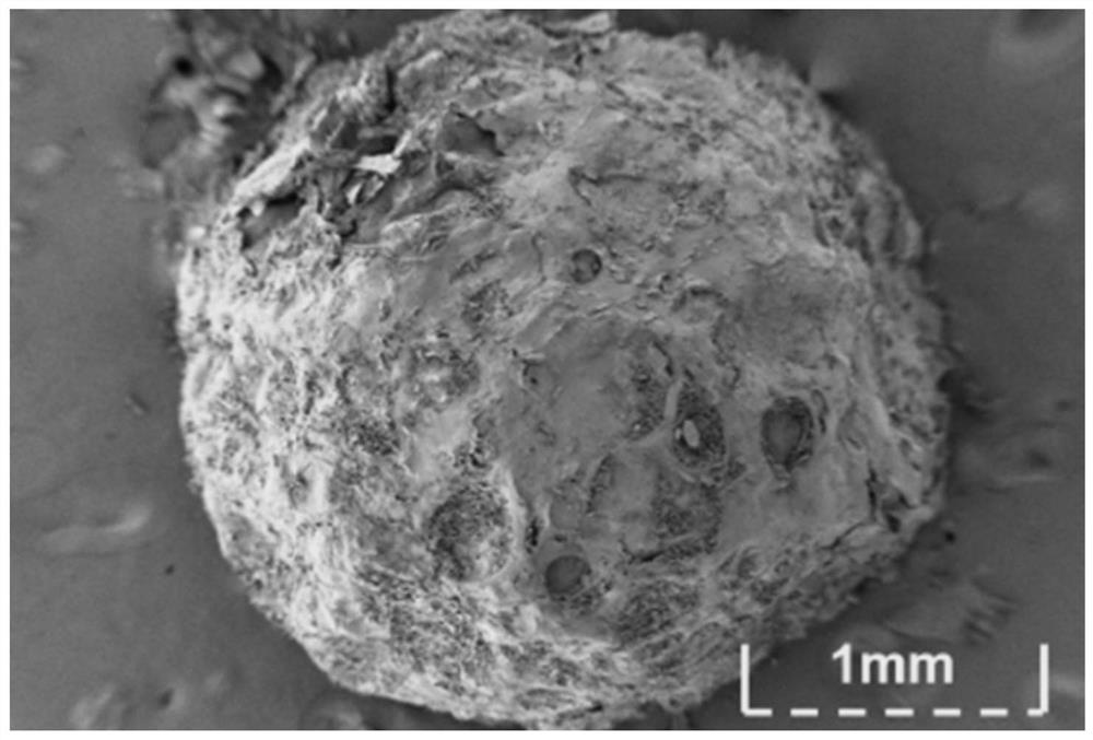 Modified nano zero-valent iron-bio-based composite functional material as well as preparation method and application thereof