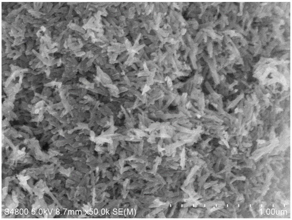 Nanorod-like low-temperature denitration catalyst and preparation method thereof