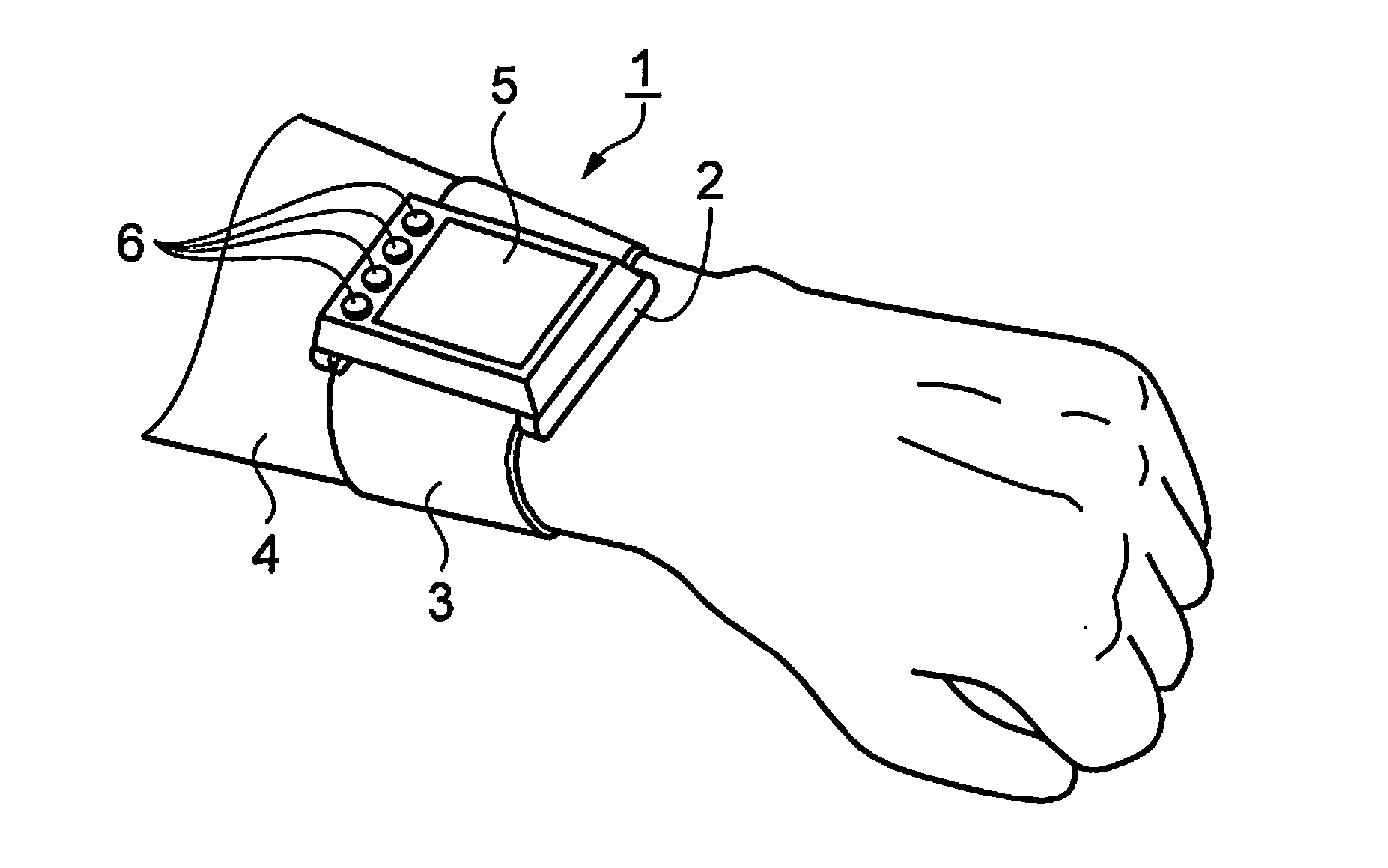 Biological measurement apparatus and a biological measurement method