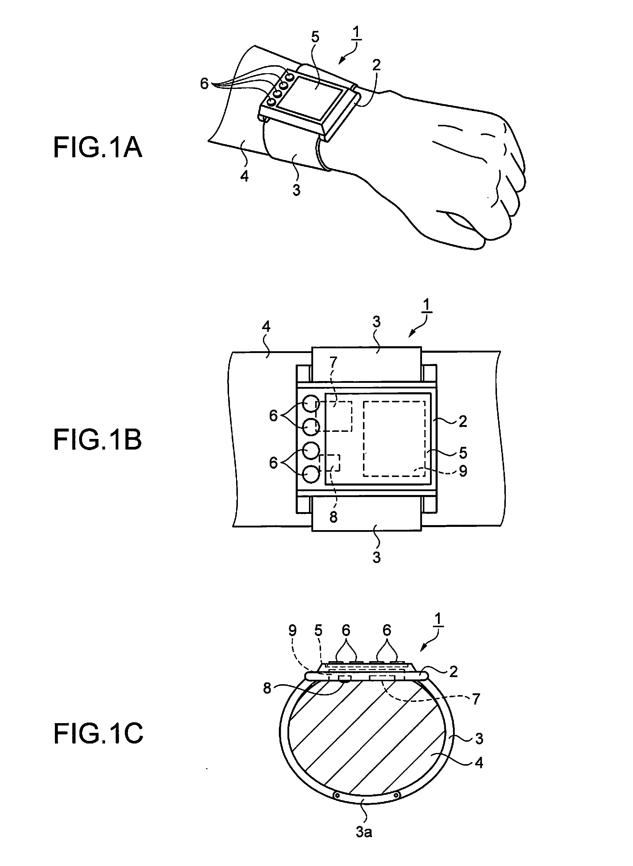 Biological measurement apparatus and a biological measurement method