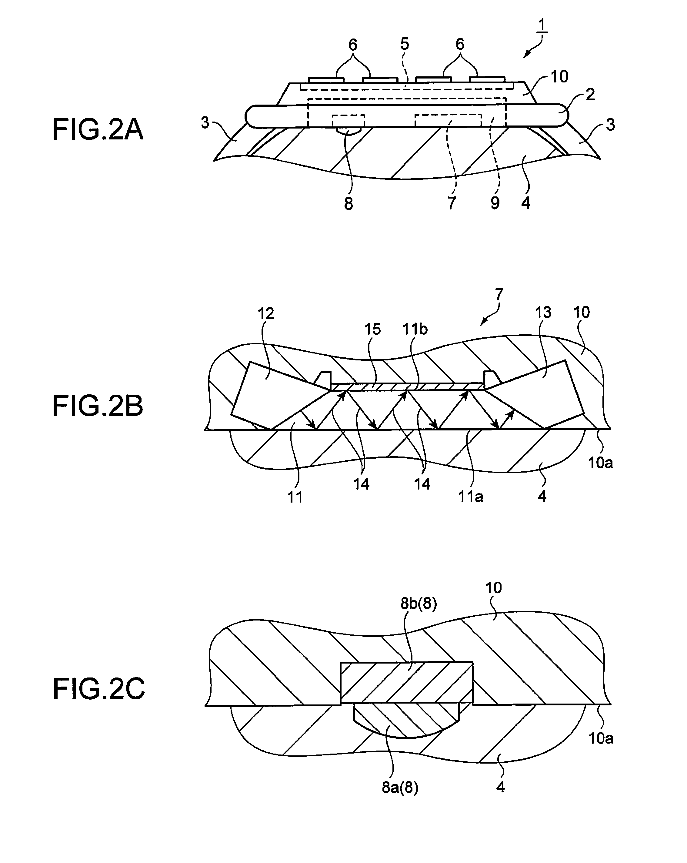 Biological measurement apparatus and a biological measurement method