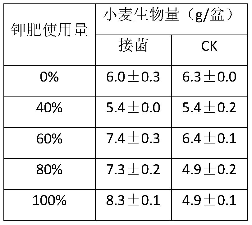 New application of Rhizobia strain w33