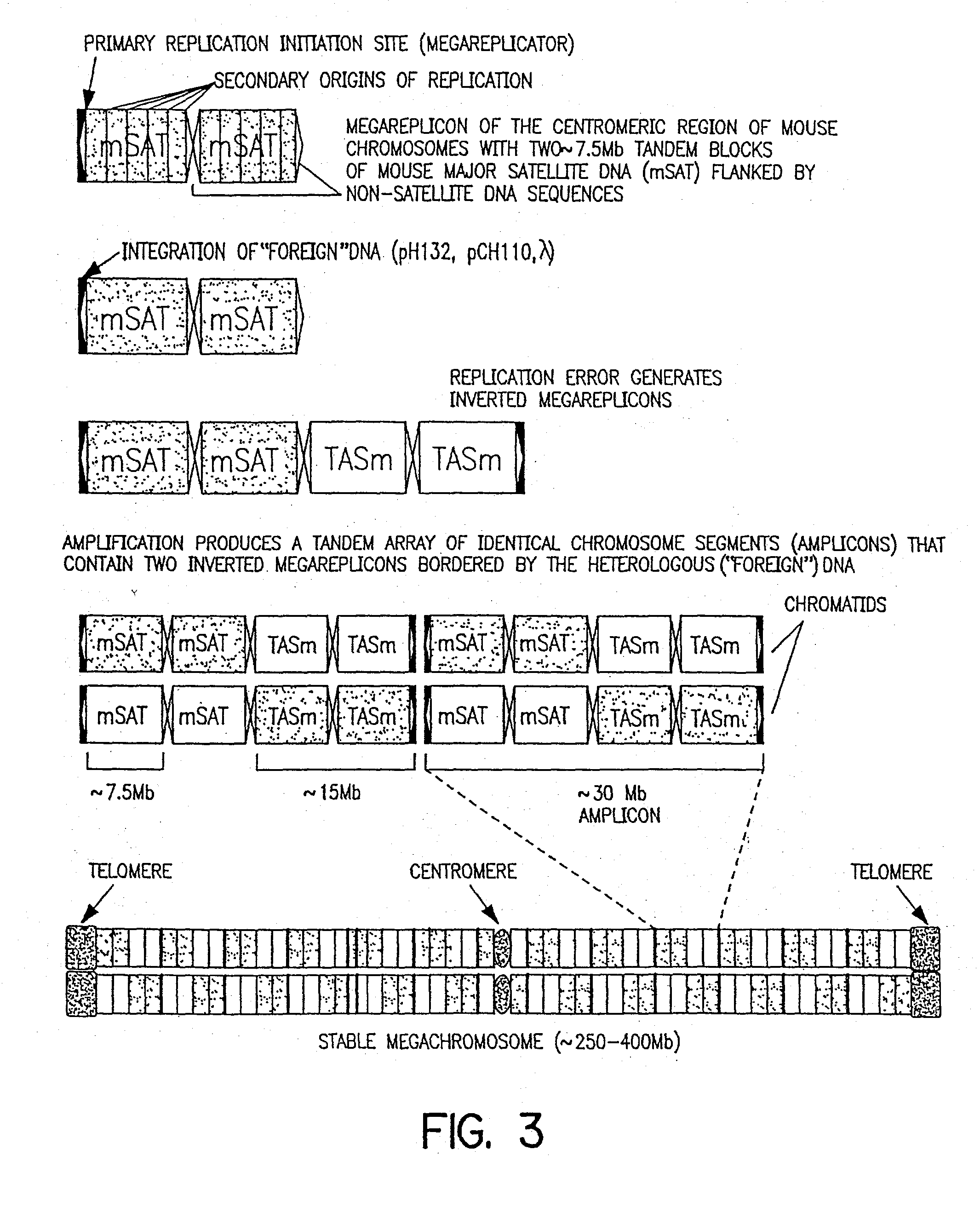 Artificial chromosomes, uses thereof and methods for preparing artificial chromosomes