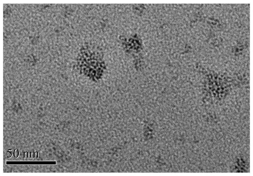 A water-soluble luminescent silver nanocluster and its preparation method and application