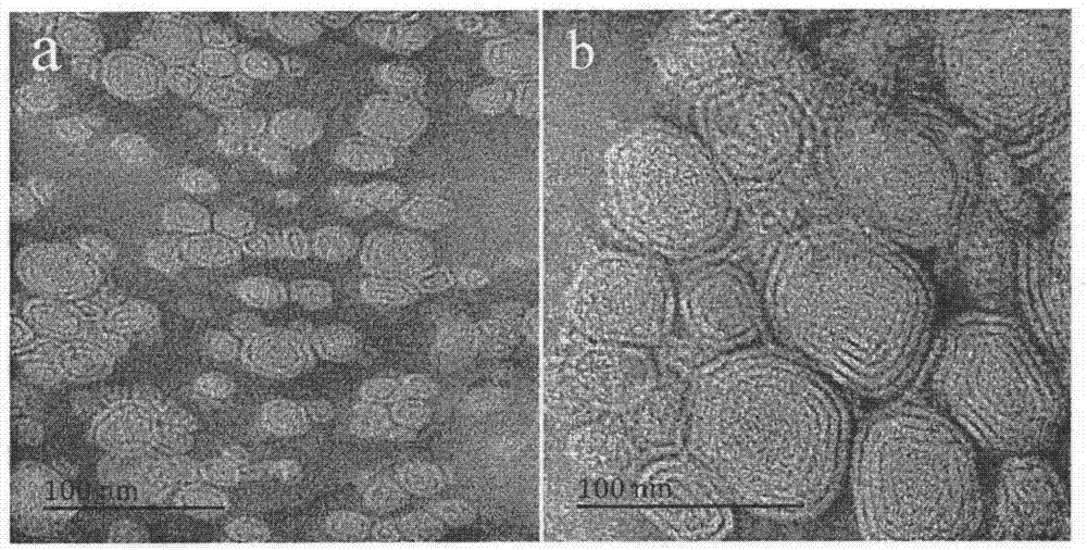 Preparation method of medicine-carrying ethosome modified by galactosed polyethyleneimine