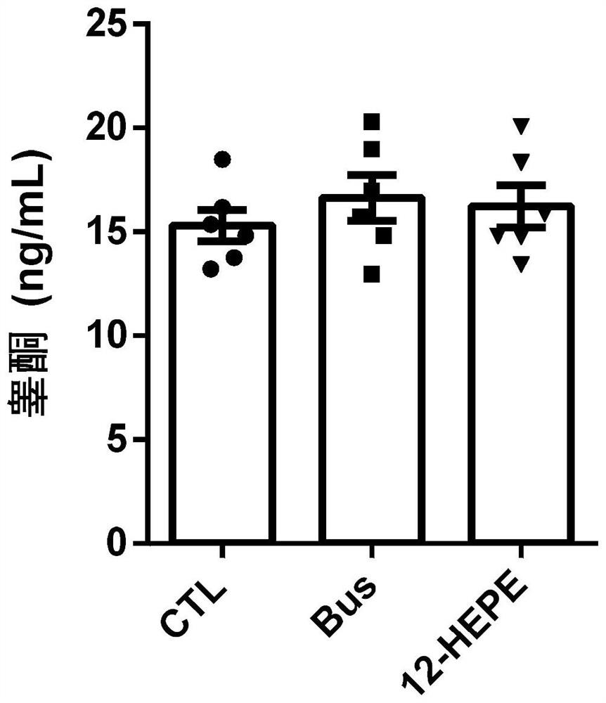 Application of 12-HEPE or pharmaceutically acceptable fatty acid thereof in alleviation of spermatogenesis disorder