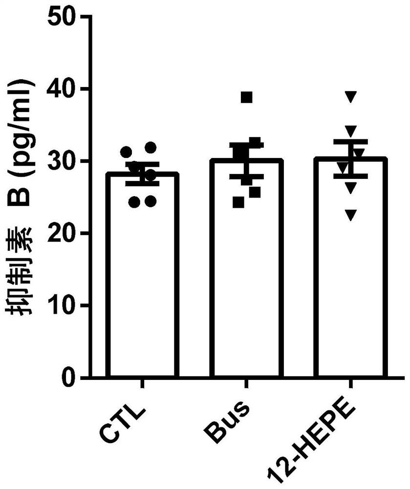 Application of 12-HEPE or pharmaceutically acceptable fatty acid thereof in alleviation of spermatogenesis disorder