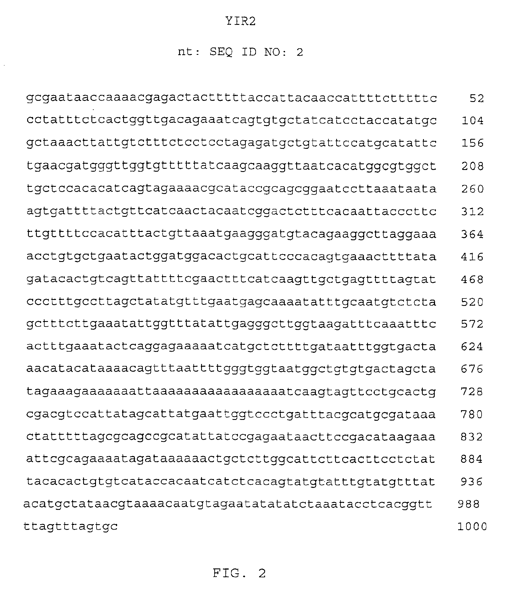 Design of artificial genes for use as controls in gene expression analysis systems