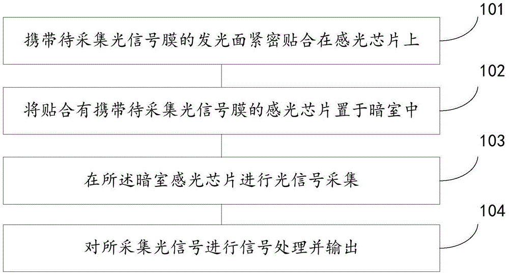 Method and device for collecting signals by photosensitive chip and method and device for tracking cells