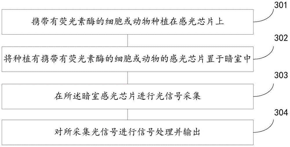 Method and device for collecting signals by photosensitive chip and method and device for tracking cells