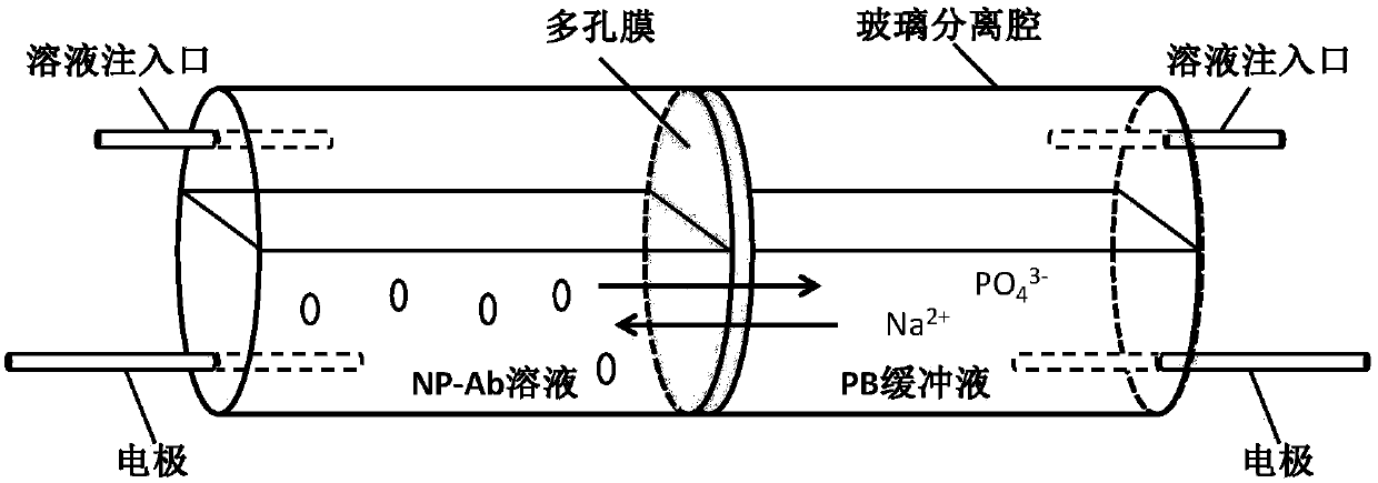 A method for antibody modified nano-microsphere electrophoresis flow type ELISA