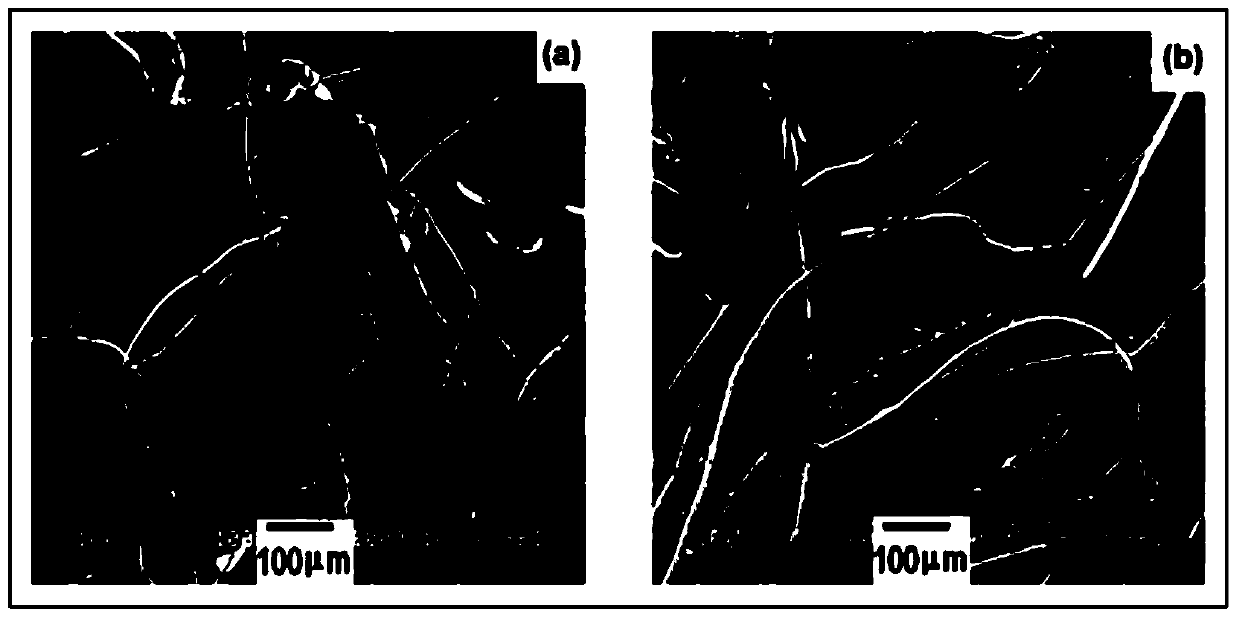 A kind of conductive flexible abrasive tool and preparation method thereof