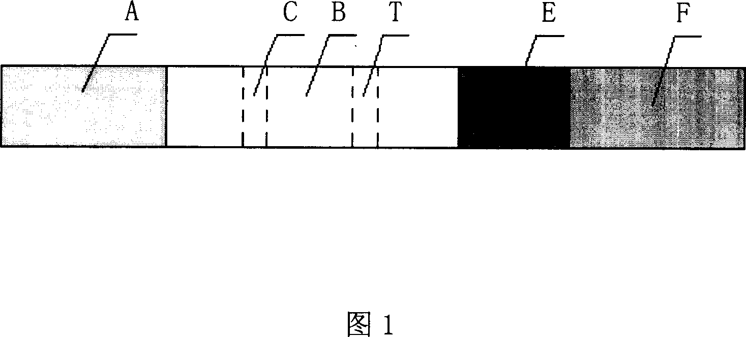 Cardiac muscle troponin I detection reagent kit and its preparation method