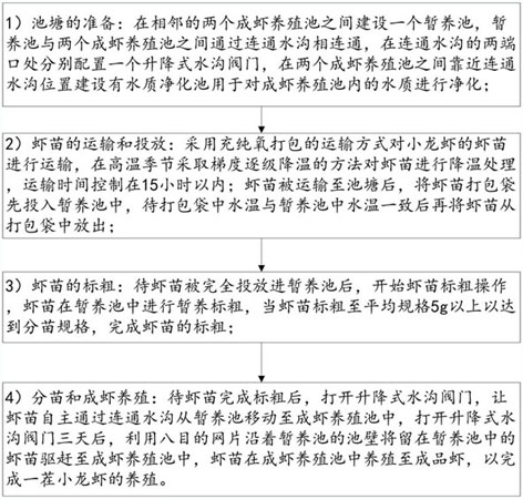 High-survival-rate crayfish culture method in high-temperature season