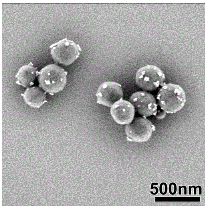 Preparation method of strawberry type organic-inorganic composite particles