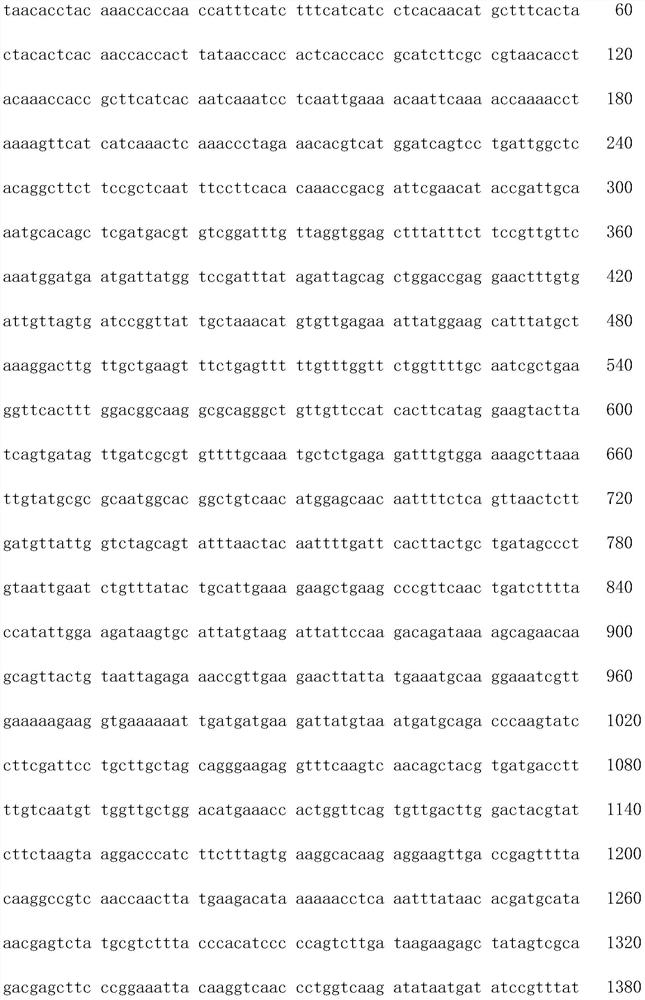 Gene associated with synthesis of lutein and application