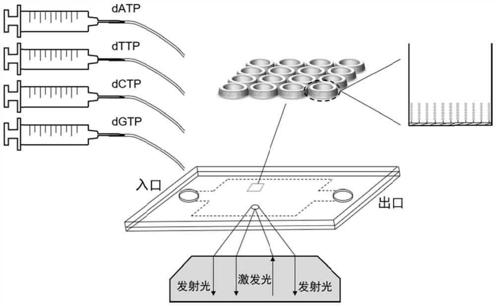 Nucleic acid sequencing method of nucleoside non-labeled FRET