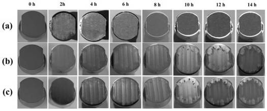 Preparation method of cobalt-based anti-cavitation coating of plastic deposition based on work hardening