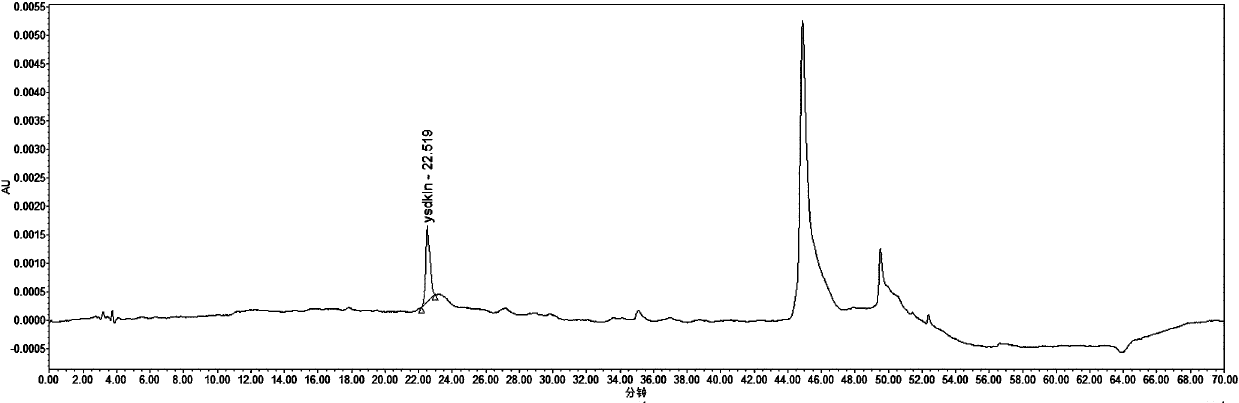 Method for detecting content of dyclonine hydrochloride mucilage or related substances through high performance liquid chromatography