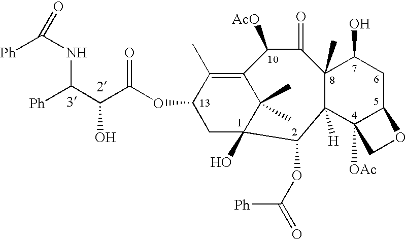 Compositions and methods for the identification, assessment, prevention, and therapy of human cancers