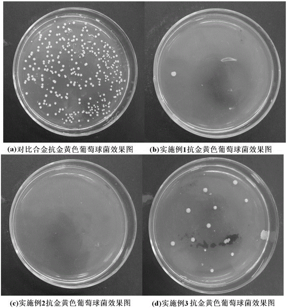 A kind of antibacterial cobalt nickel chromium molybdenum alloy and preparation method thereof