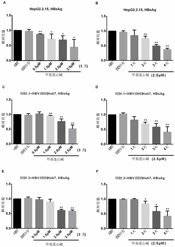 Application of neferine in preparation of anti-hepatitis B virus drug