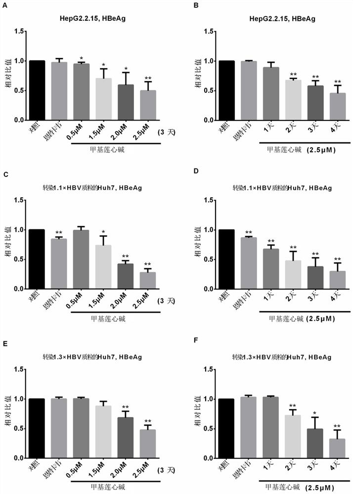 Application of neferine in preparation of anti-hepatitis B virus drug