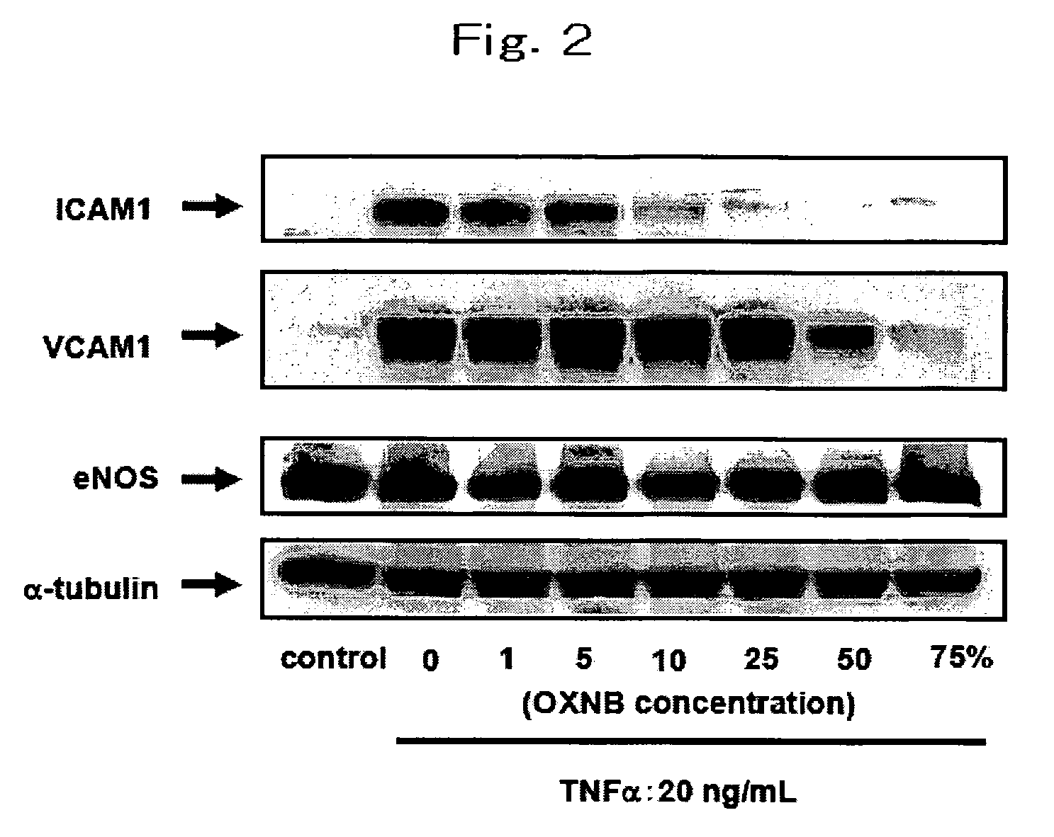 Medical agent for preventing or treating diseases resulting from one of inflammation and remodeling, and method for preventing or treating the diseases