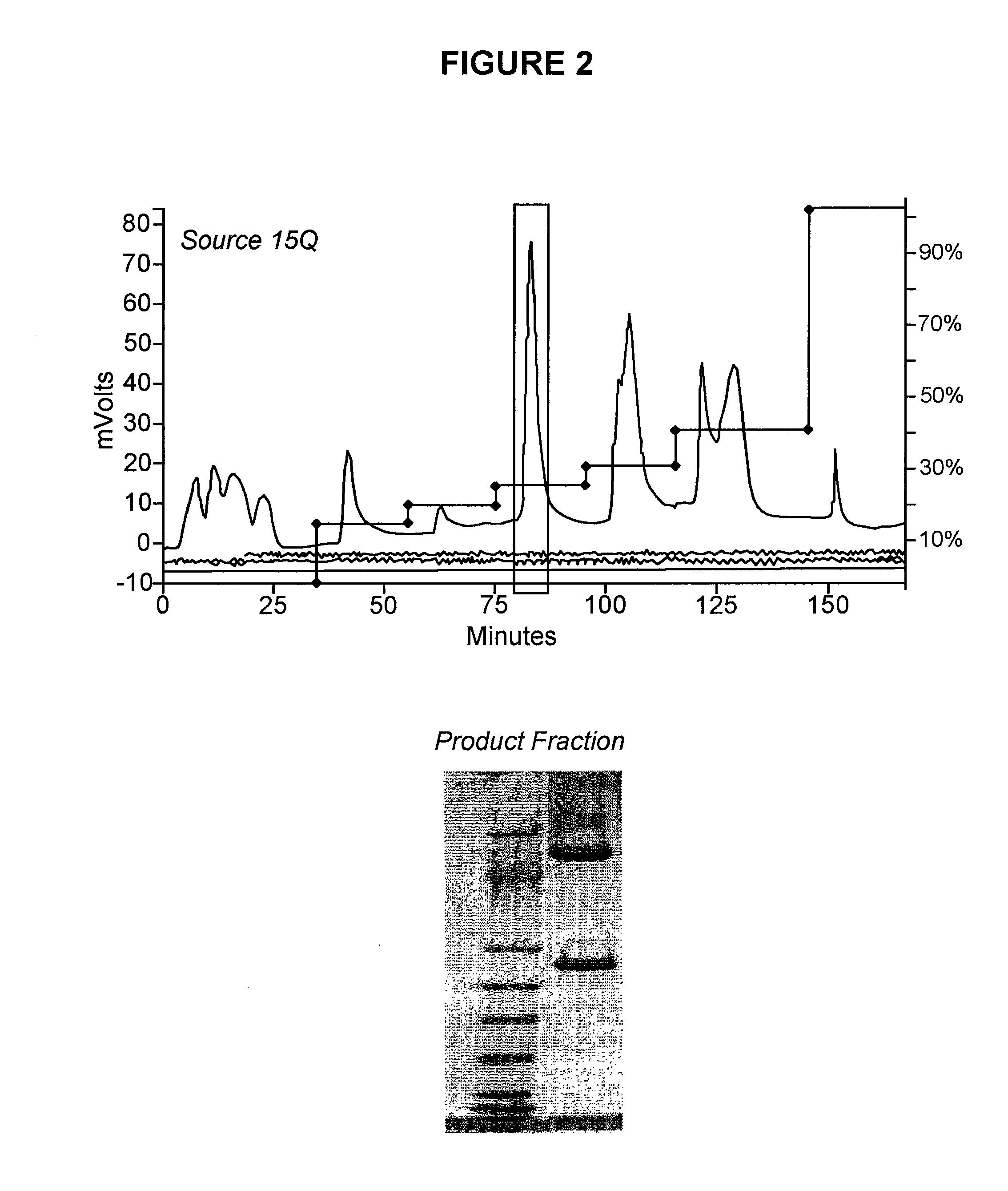 Conjugated factor viii molecules