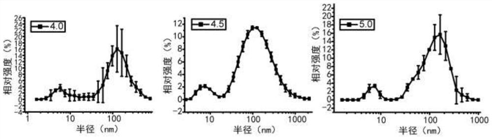 Extracellular vesicle separation and enrichment method based on anionic polymer modified matrix