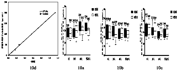 Compound probiotic agent for improving immunity of dogs and reducing incidence of diarrhea as well as preparation method and application thereof