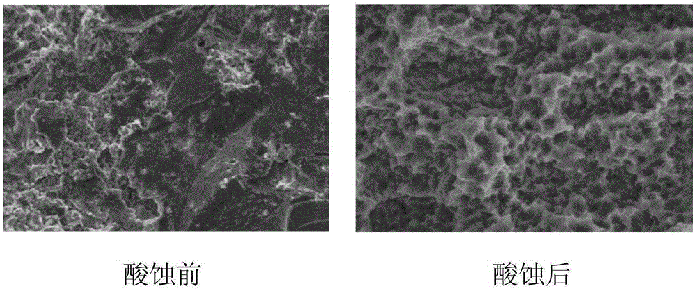 Titanium metal osseointegration implant and titanium metal osseointegration implant surface treatment method