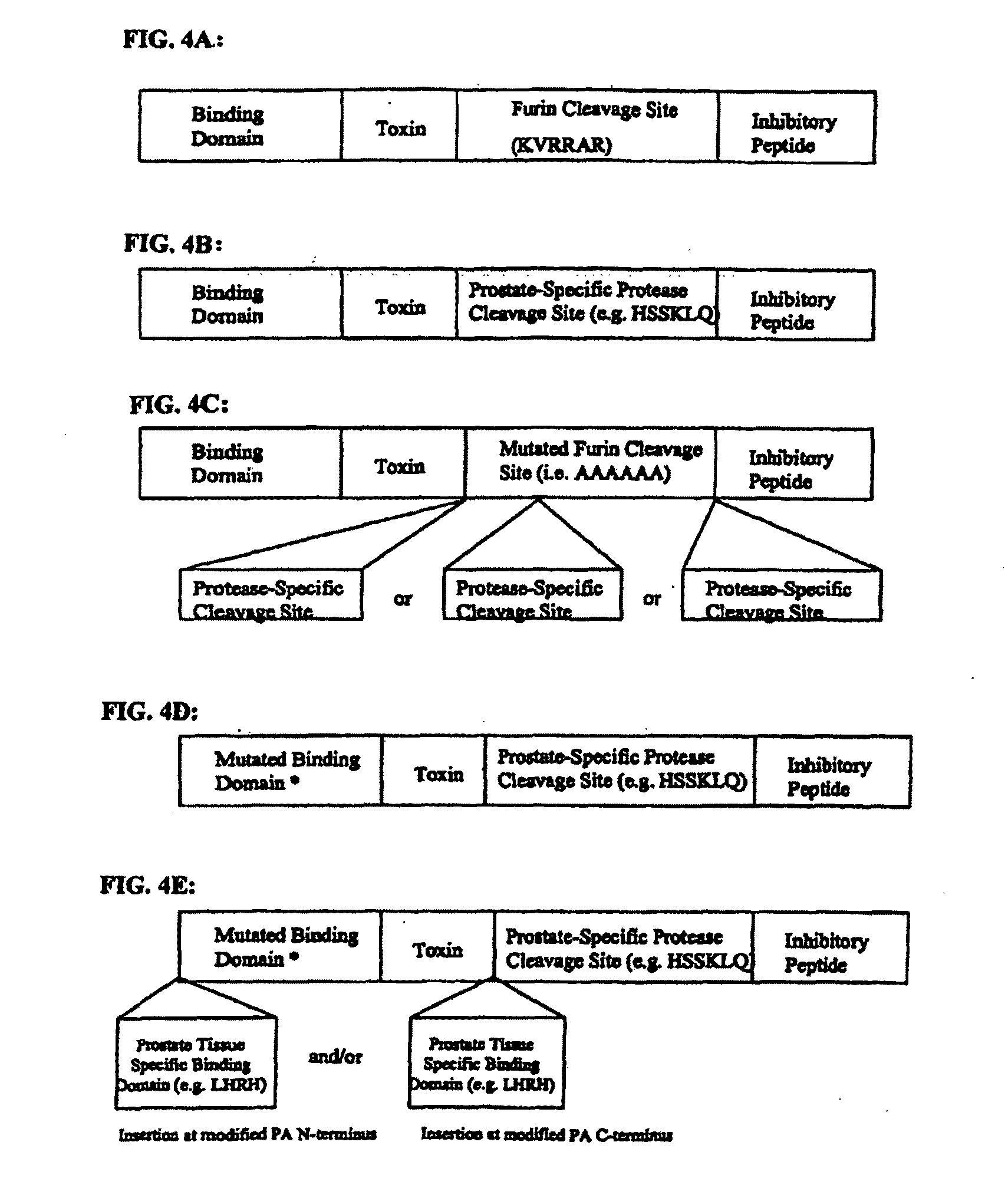 Method of treating or preventing benign prostatic hyperplasia using modified pore-forming proteins