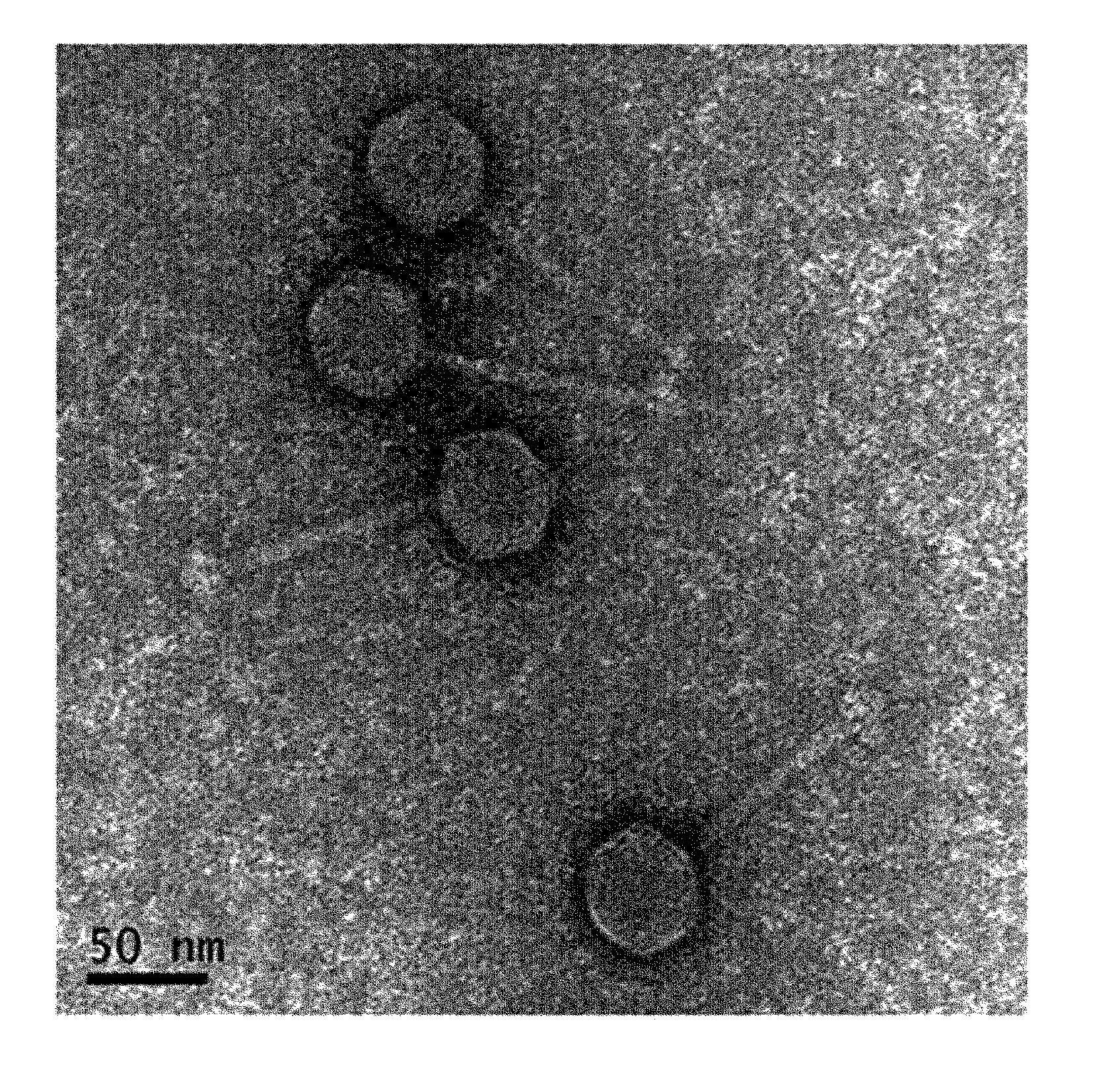 Novel bacteriophage and antibacterial composition comprising the same