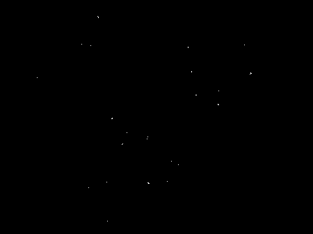 Isolated culture method for enameloblast